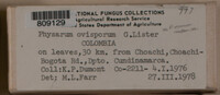 Image Associated With the Occurence
